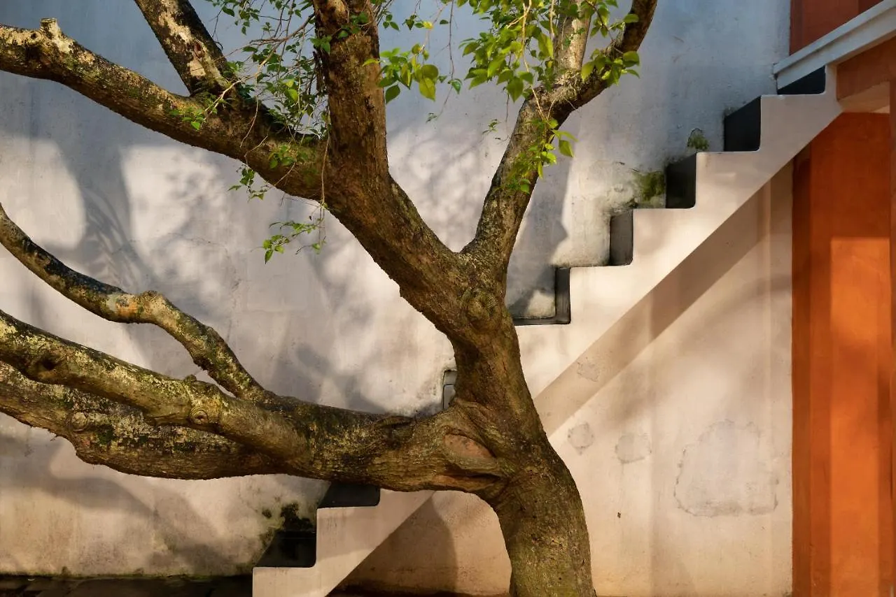 De Saram House By Geoffrey Bawa Colombo Sri Lanka